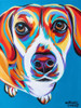 Nosey Dog II Poster Print - Carolee Vitaletti