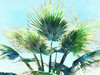 Pleasant Palms II Poster Print - Alonzo Saunders