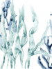 Blue Kelp III Poster Print - June Erica Vess