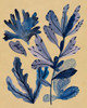 Underwater Forest III Poster Print - Melissa Wang