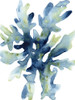 Liquid Coral IV Poster Print - June Erica Vess