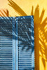 Beachtown Blues II Poster Print - Laura DeNardo