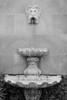 Black and White Fountains I Poster Print - Laura DeNardo
