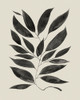 Branched Composition I Poster Print - Grace Popp