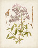 Vintage Flowering Trees I Poster Print - Unknown