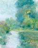Tranquil Stream II Poster Print - Tim OToole