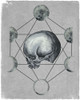 Moon Phases II Poster Print - Melissa Wang