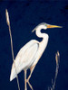 Heron on Navy II Poster Print - Patricia Pinto