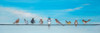 Sweet Birds on a Wire II Poster Print - Sandra Iafrate
