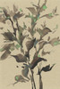 Leaves on Taupe II Poster Print - Samuel Dixon