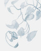 Pothos Penumbra II Poster Print - Grace Popp