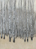 Custom Neutral Aspen I Poster Print - Tim OToole