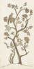 Custom Sepia Chinoiserie II Poster Print - Chariklia Zarris