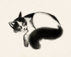Cat Laze I Poster Print - Grace Popp