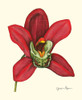 Majestic Orchid III Poster Print - Jennifer Goldberger