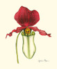 Majestic Orchid I Poster Print - Jennifer Goldberger