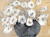 Another White Blossom II Poster Print - Samuel Dixon
