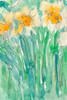 Daffodils Stems I Poster Print - Samuel Dixon