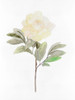 White Blossom V Poster Print - Design Studio Stellar