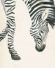 At Your Feet III Poster Print - Grace Popp
