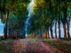 Row of Trees Provence Poster Print - Chris Vest