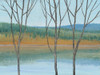 Between Water III Poster Print - Tim OToole