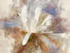 Playful Petals III Poster Print - Leda Robertson
