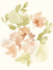 The Softest Petals II Poster Print - Jennifer Goldberger