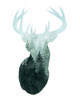 Forest Majesty I Poster Print - Grace Popp