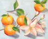 Tangerine Blossoms I Poster Print - Melissa Wang