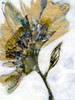 Flower Alloy II Poster Print - Jennifer Goldberger