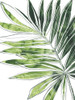Expressive Palm IV Poster Print - June Erica Vess