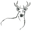 Minimal Deer II Poster Print - June Erica Vess