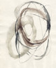 Spiral Hoops I Poster Print - Jennifer Goldberger