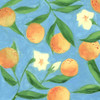 Sweet Tangerine I Poster Print - Melissa Wang
