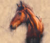 Blended Horse III Poster Print - Kim Curinga