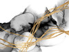 Matrix Undulation II Poster Print - Jennifer Goldberger