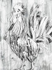 Barnwood Flock II Poster Print - June Erica Vess