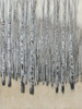 Neutral Aspen I Poster Print - Tim OToole