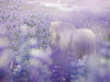 Horse in Lavender IV Poster Print - PHBurchett