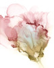 Flowering Pink I Poster Print - Jennifer Goldberger