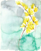 Forsythia Dreams II Poster Print - Jennifer Goldberger