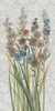 Patch of Wildflowers III Poster Print - Tim OToole