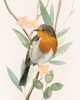 Tree Toppers IV Poster Print - Grace Popp