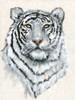 White Tiger II Poster Print - Tim OToole