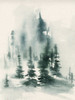 Misty Winter I Poster Print - Jennifer Goldberger