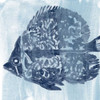 Ocean Study V Poster Print - June Erica Vess