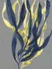 Kelp Embrace I Poster Print - Jennifer Goldberger