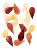 Falling Petals II Poster Print - Grace Popp