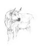Bull Study II Poster Print - Ethan Harper